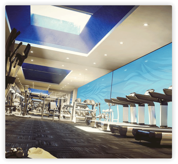 main contain image is here 